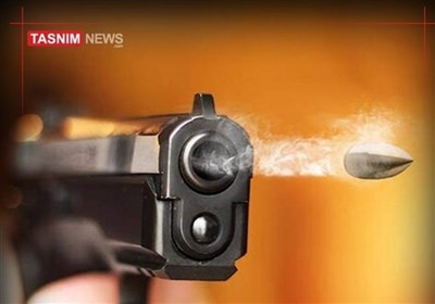 ماجرای شلیک پلیس به ‌خودروی حامل اتباع غیرمجاز چه بود؟