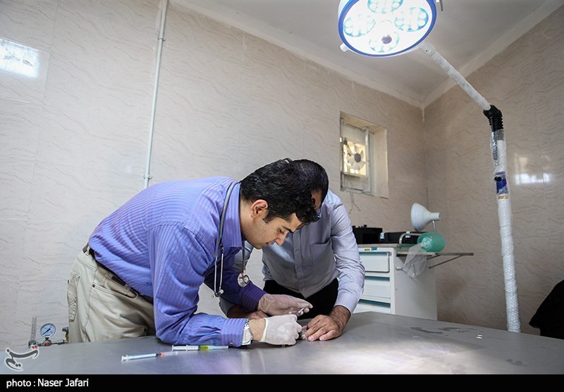 سازمان محیط زیست , حیات وحش , 