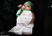 مراسم شیرخوارگان حسینی در اراک 