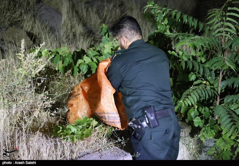 قوه قضائیه , مشروبات الکلی , آسیب‌های اجتماعی , 