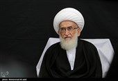 قدردانی آیت‌الله نوری همدانی از حضور باشکوه مردم در راهپیمایی 22 دی