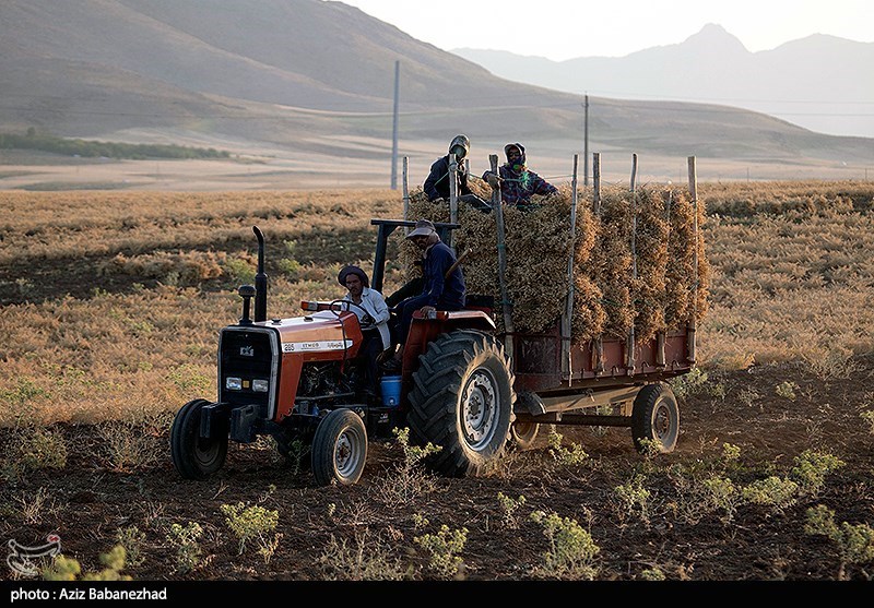 استان لرستان , کشاورزی , 