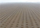 اجرای 10 طرح تحقیقاتی در حوزه بیابان‌زدایی و اصلاح خاک در ایستگاه گرمسار