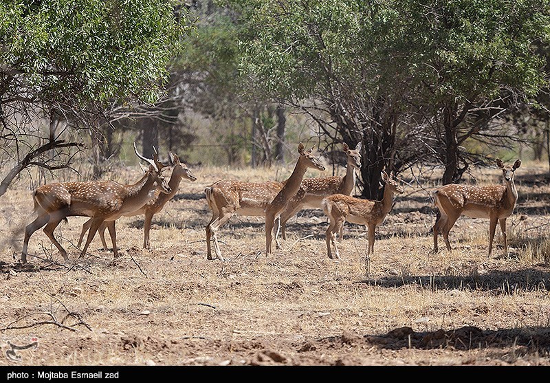 استان لرستان , پایش و نظارت در محیط زیست ,
