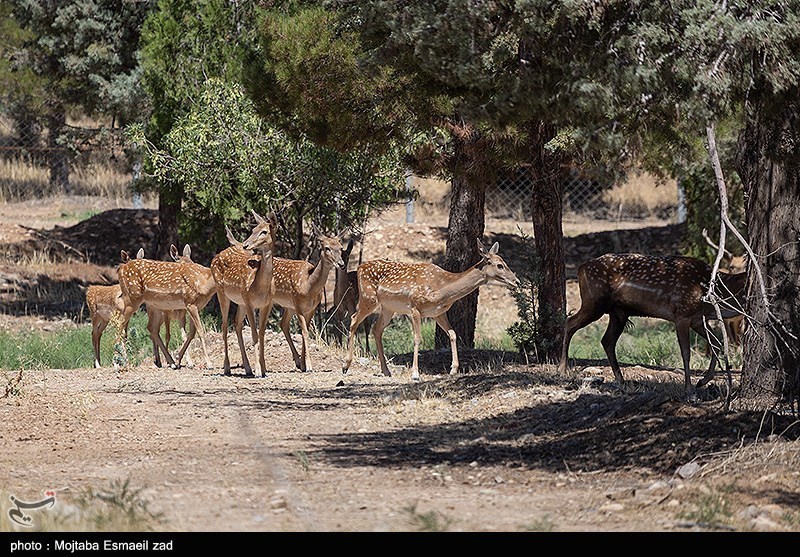 استان لرستان , پایش و نظارت در محیط زیست ,