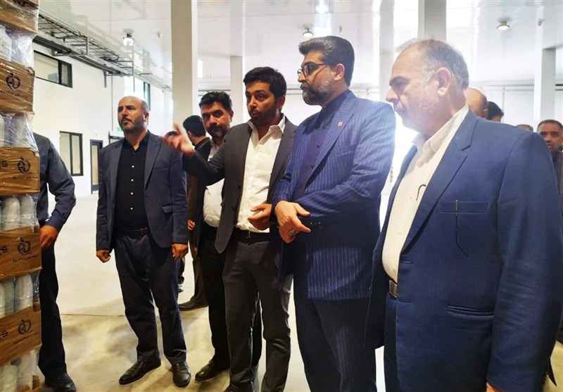 تولید ملی , هفته دولت , کارگاه تولیدی , استانداری قزوین , 