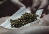 اثبات تأثیر منفی مصرف ماری‌جوانا بر رشد و عملکرد شناختی مغز نوجوانان