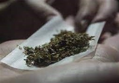 اثبات تأثیر منفی مصرف ماری‌جوانا بر رشد و عملکرد شناختی مغز نوجوانان