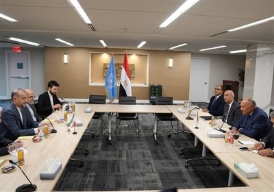 کشور مصر , اخوان المسلمین , عبدالفتاح السیسی , حسین امیرعبداللهیان ,