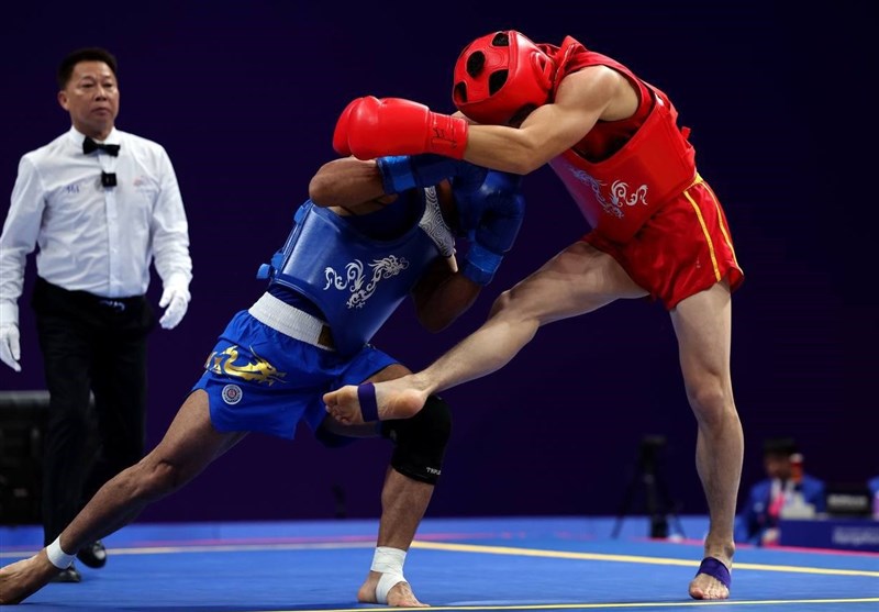 ووشو ایران , ووشو , محسن محمدسیفی ,