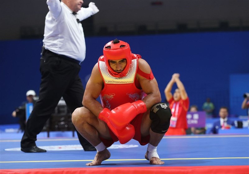 ووشو ایران , ووشو , محسن محمدسیفی ,