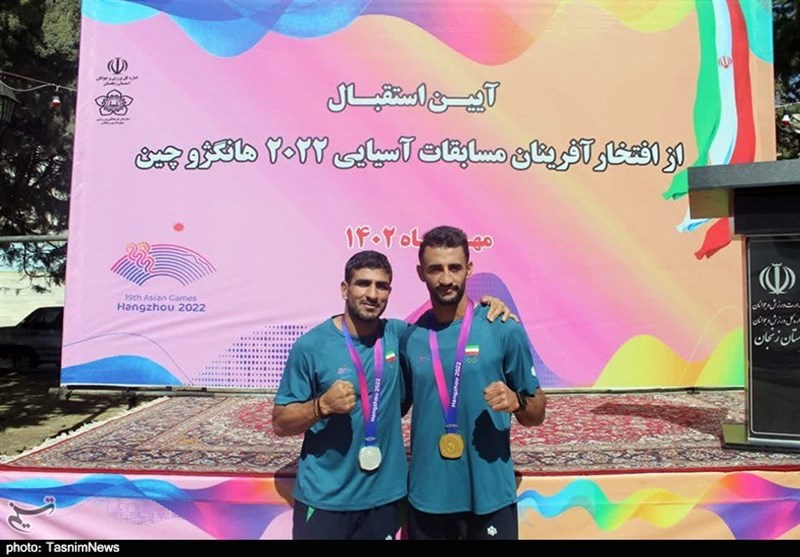 محسن محمدسیفی , ووشو ,