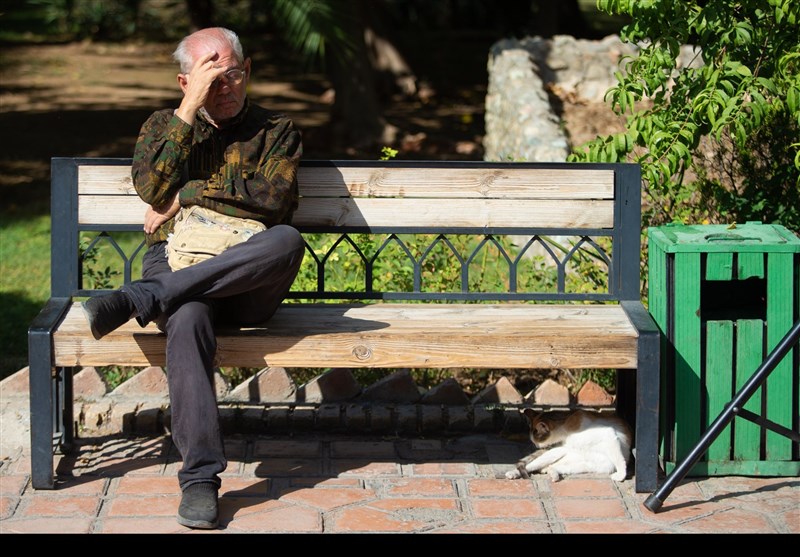 تشیع  فردوس کاویانی