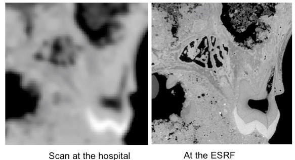 پژوهشگاه دانش‌های بنیادی , 