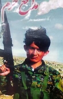 لشکر فاطمیون , معراج شهدا , جبهه مقاومت اسلامی , شهدای مدافع حرم , 