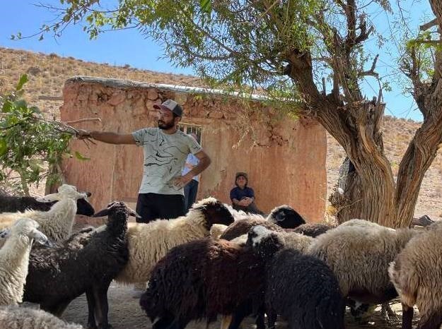 مستند , جشنواره بین‌المللی فیلم کوتاه تهران , فیلم کوتاه , 