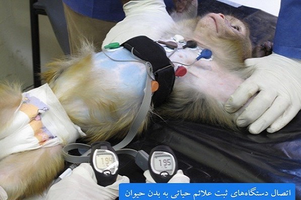 اخبار هوا و فضا , کپسول زیستی ,
