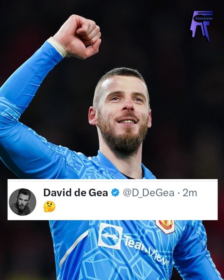 تیم فوتبال منچستریونایتد انگلیس , داوید د خیا کینتانا , 