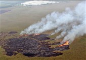 تالاب هورالعظیم در آتش؛ تلاش مشترک ایران و عراق برای کنترل بحران
