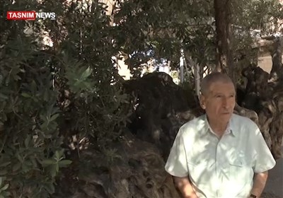 فلسطین , رژیم صهیونیستی (اسرائیل) ,