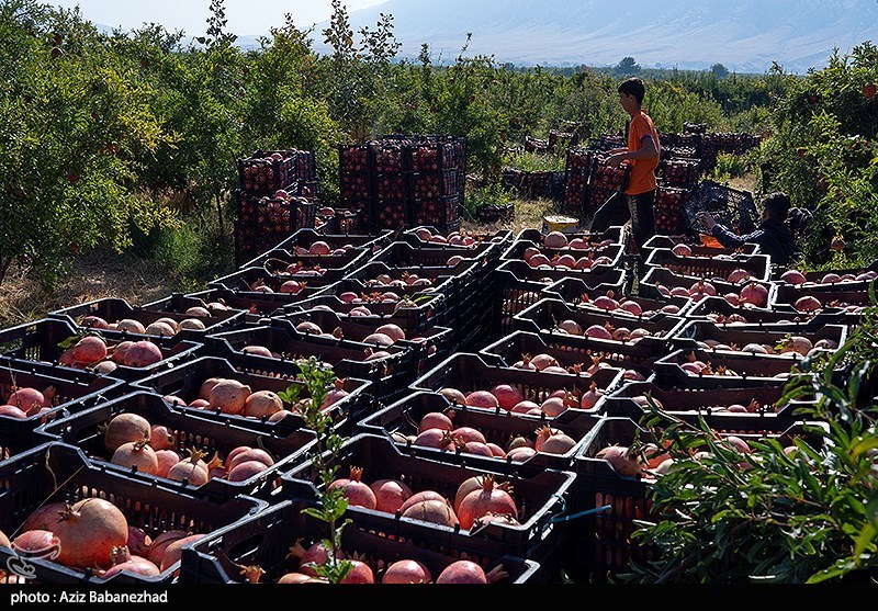 استان لرستان , اخبار استان لرستان , اخبار کوهدشت , 