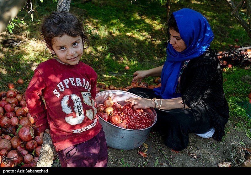 استان لرستان , اخبار استان لرستان , اخبار کوهدشت , 