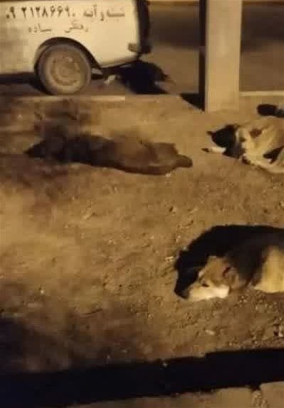 شهرداری تهران ,