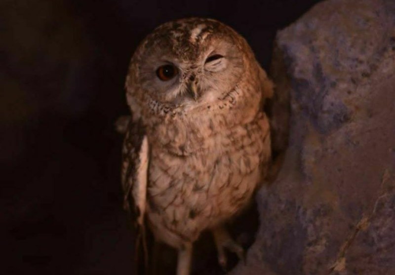 استان سیستان و بلوچستان ,