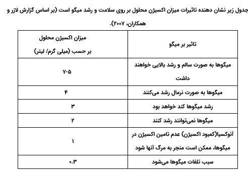معاونت علمی و فناوری ریاست جمهوری , ستاد ویژه توسعه فناوری نانو , فناوری نانو , 