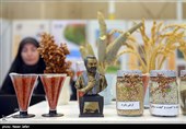 انتخاب واحدهای برتر رویداد ملی فن بازار در آمل