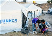 6 Million Afghans Return Home in under 3 Years in Rare Mass Movement, UNHCR Says