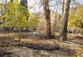 تمام بوستان‌های پایتخت در روز طبیعت باز هستند