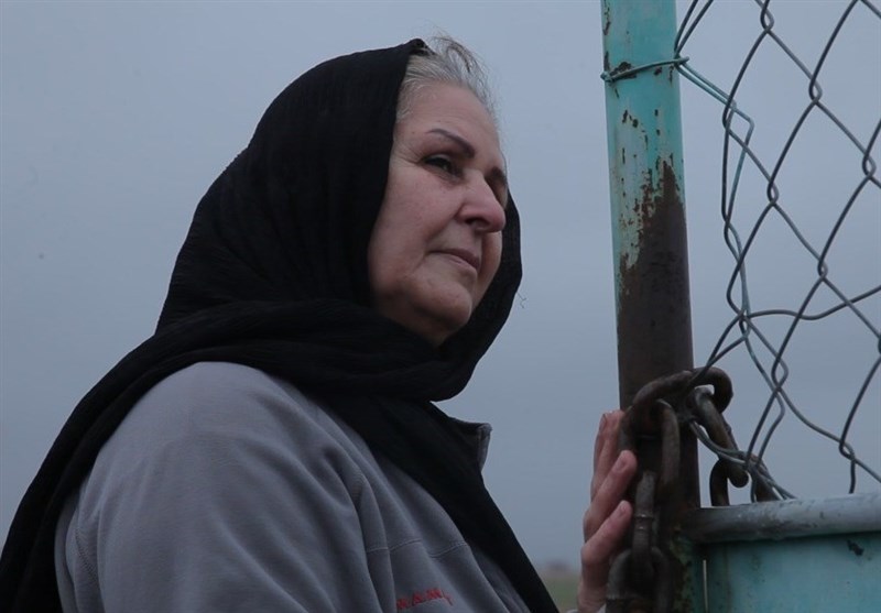 جشنواره بین‌المللی سینما حقیقت , مستند , سینمای مستند , مستند ایران , مرکز گسترش سینمای مستند و تجربی , شبکه مستند , وزیر ارشاد , محمدمهدی اسماعیلی , سازمان سینمایی , 