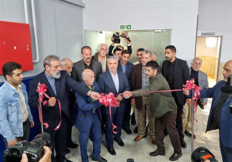 کشتی ایران ,