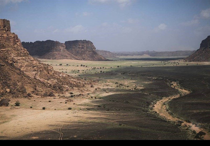 رالی داکار , اتومبیل رانی , 