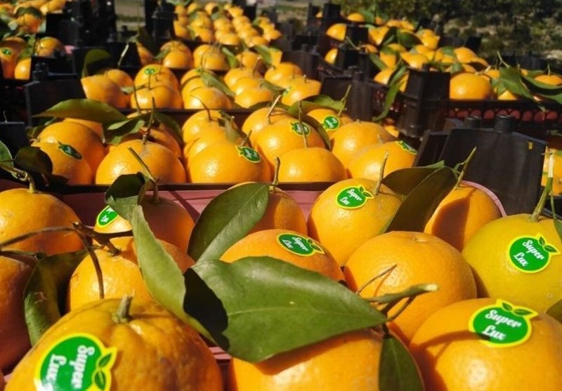 اخبار استان مازندران , اخبار ساری , نظام مسائل استان , نظام مسائل استان مازندران , 