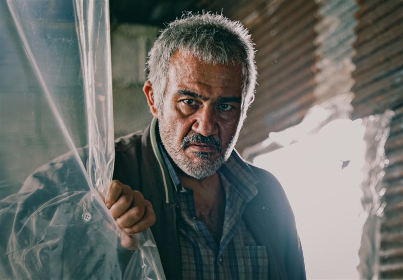 سینما , سینمای ایران , فیلم‌های سینمایی ایران , جشنواره فیلم فجر , 