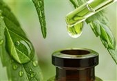 یادداشت|تحول در نظام گیاهان دارویی گامی برای حفظ منابع طبیعی