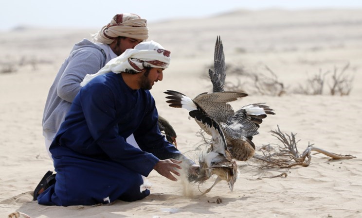 قاچاق "پرنده‌های بومی ایران" تکمیل‌کننده پازل سرگرمی کشورهای حاشیه خلیج فارس!