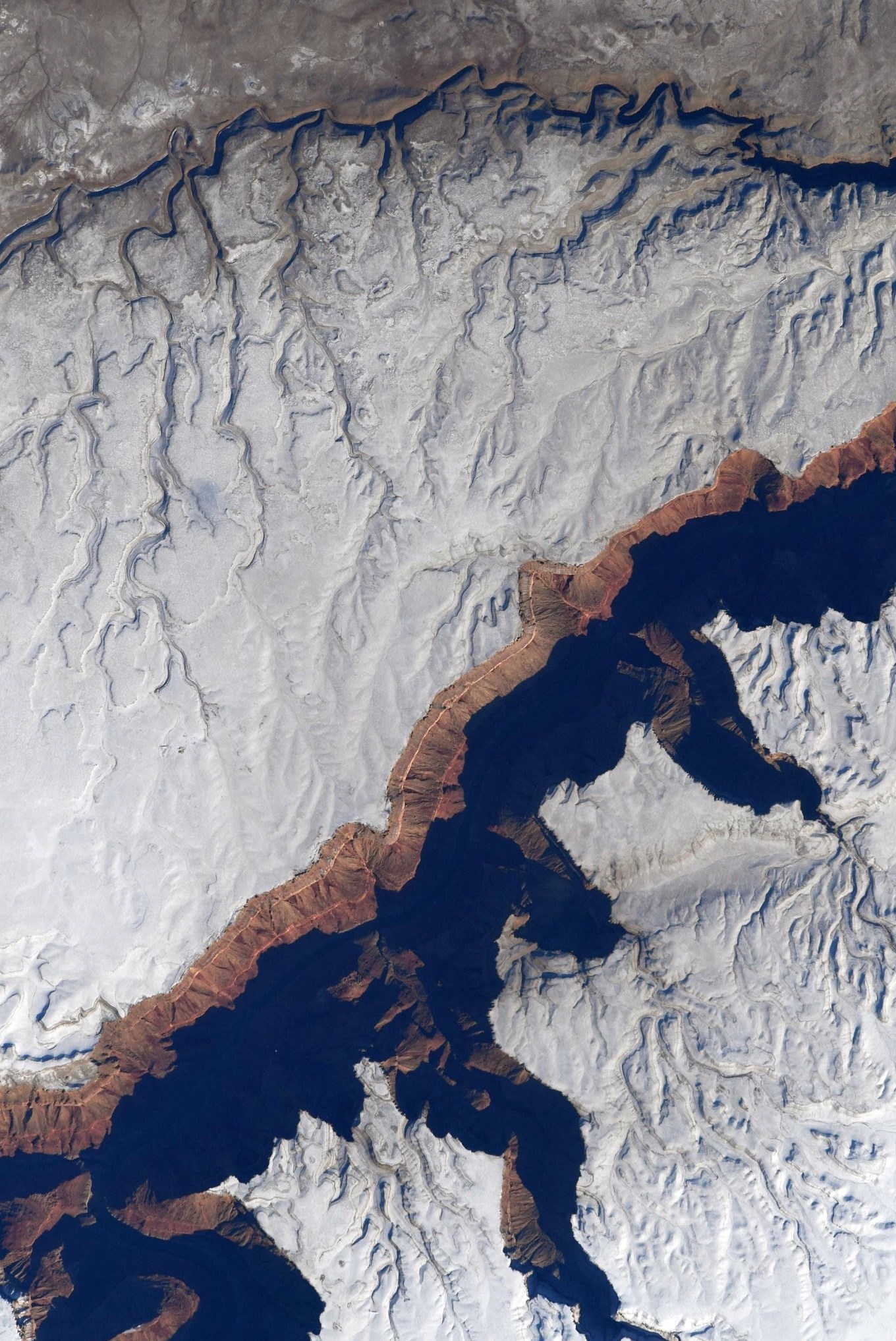 ایستگاه فضایی بین‌المللی , 