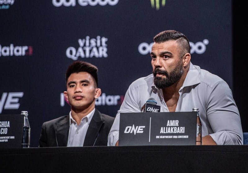 امیر علیاکبری ,