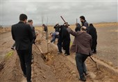 گرمساری‌ها در پویش «به یاد رهبر شهید» 5 هزار نهال غرس کردند