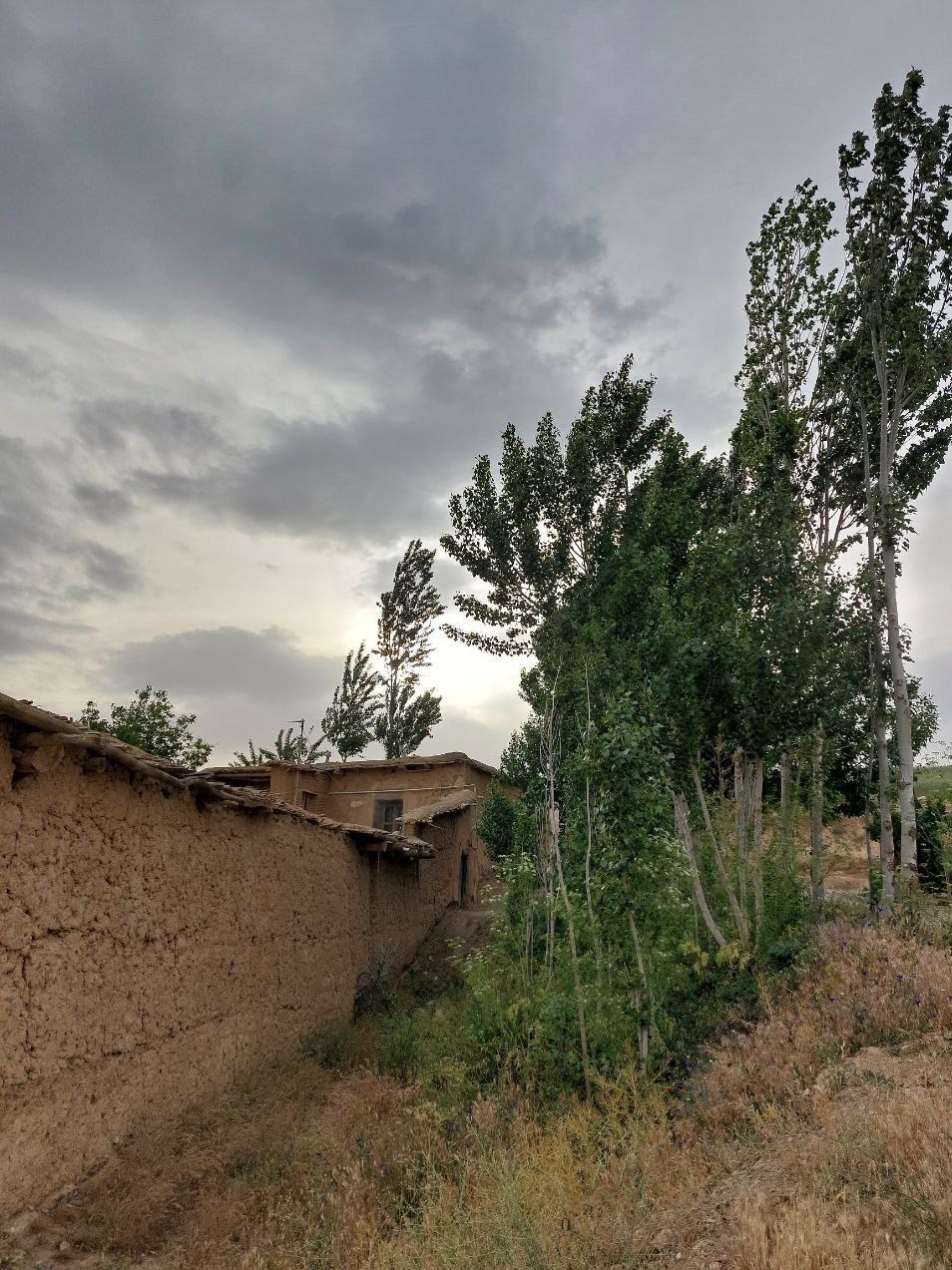 مستند , سینما , تلویزیون , ایرانگردی | ایران گردی , گردشگری , 