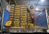 راه‌اندازی نخستین بازارچه «خودرو شهر میوه» در کرمان