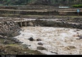 مصوبه ساخت‌وساز در حریم رودخانه‌ها؛ تیر دولت به قلب محیط‌زیست
