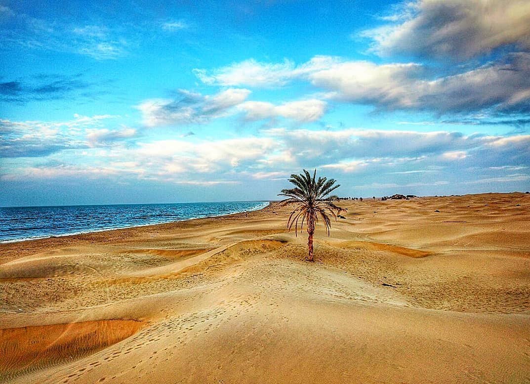 مستند , سینما , تلویزیون , عید نوروز , ایرانگردی | ایران گردی , 