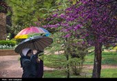 افزایش بارش‌های بهاری در خراسان شمالی