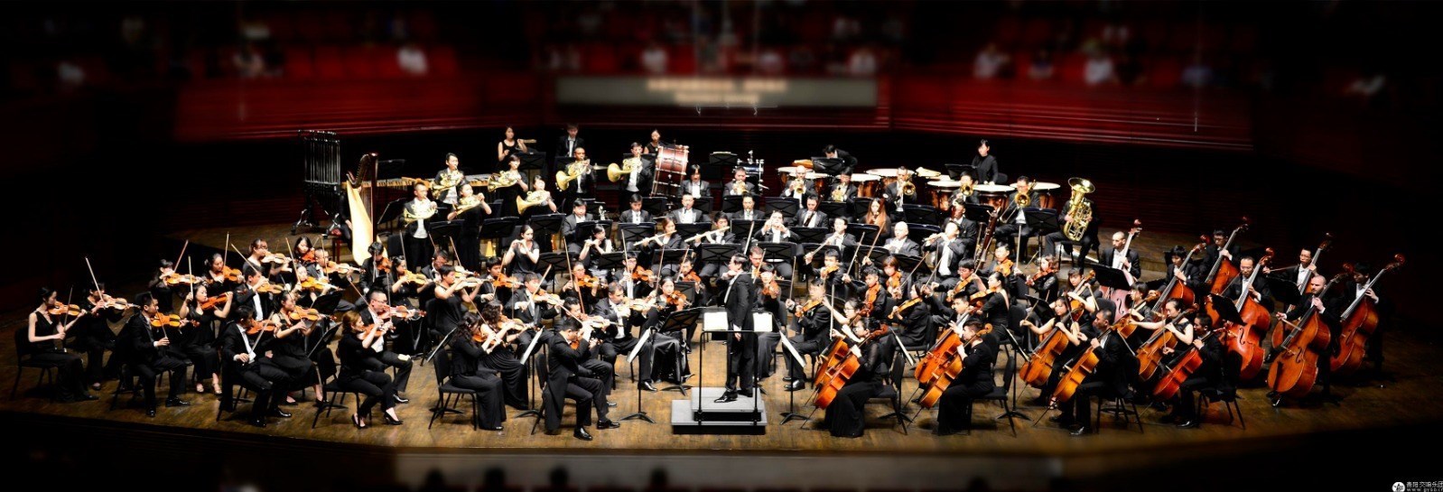 موسیقی , علی رهبری , 