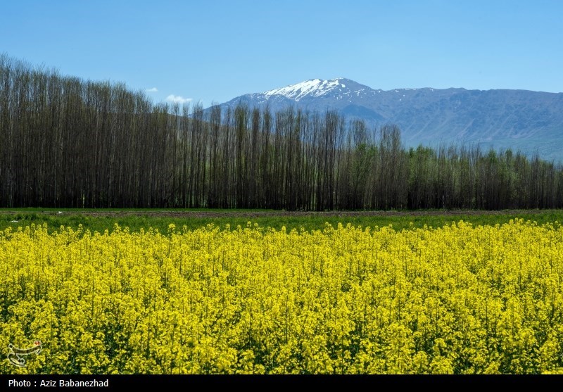 کشاورزی , ستاد توسعه اقتصاد دانش‌بنیان غذا و کشاورزی , خبرگزاری تسنیم , 