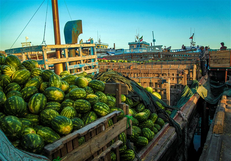 قوه قضائیه , زندان , واردات , واردات خودرو , خودروهای چینی , خلیج فارس , 